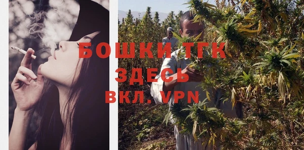 ешки Арсеньев