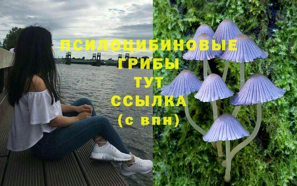 первитин Армянск