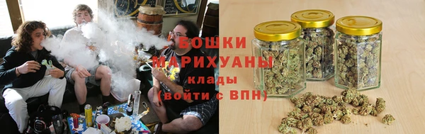 ешки Арсеньев